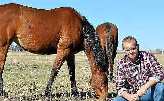 Anthony Browning will be offering six thoroughbreds at the Allora Sale. Anthony Browning will be offering six thoroughbreds at the Allora Sale.